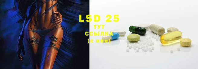 PSILOCYBIN Армянск