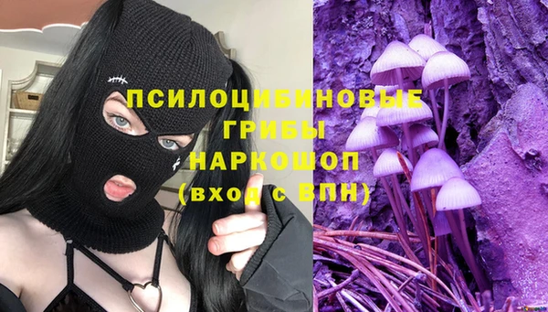 PSILOCYBIN Армянск