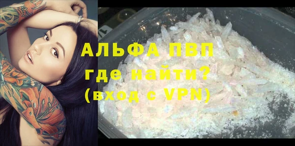 PSILOCYBIN Армянск