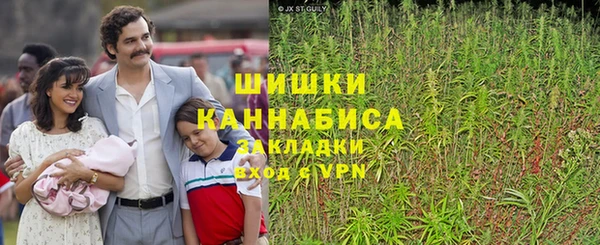 гидра Новозыбков