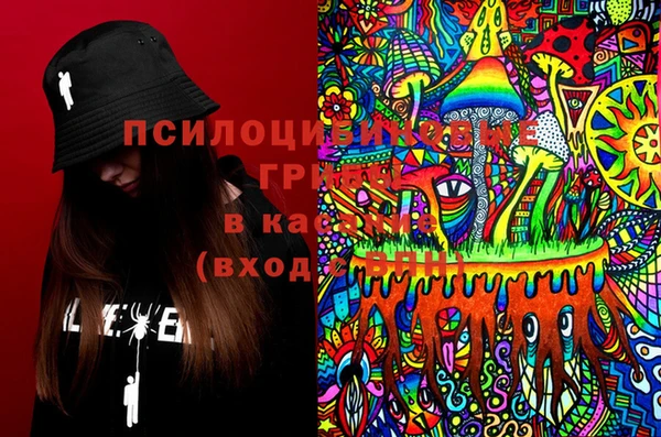 PSILOCYBIN Армянск